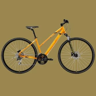 Berguson kerékpáráruház