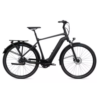 Giant DailyTour E+ 2 BD LDS túratrekking e-bike