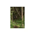 Ghost Riot Trail CF 150/140 Pro MTB Fully 29" kerékpár