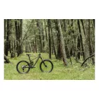 Ghost Riot AM CF 160/140 Full Party MTB Fully 29" kerékpár