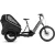 Cube Trike Family Hybrid 1500 cargo e-bike - swampgrey'n'reflex