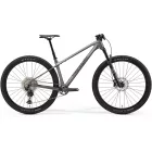 Merida BIG.NINE TR 5000 MTB 29'' kerékpár 2026 - SELYEM FEGYVERSZÜRKE