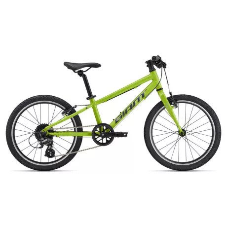 Giant ARX 20 gyermek kerékpár - Lime Punch