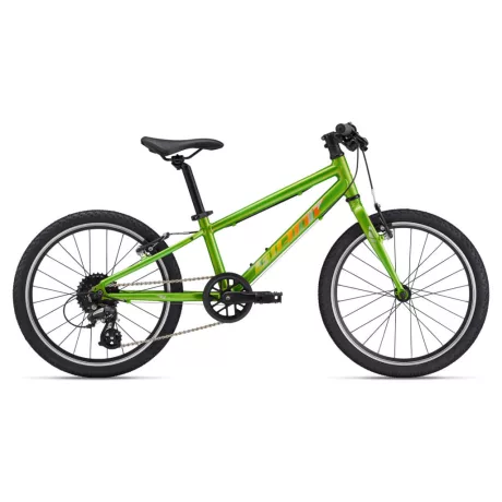 Giant ARX 20 gyermek kerékpár - Metallic Green
