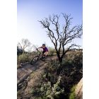 Liv Pique Advanced 29 1 összteleszkópos hegyi