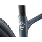 Giant Revolt 2 gravel kerékpár - Asphalt Green