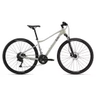 Liv Rove 3 Cross trekking kerékpár 2025 - Pulp Gray