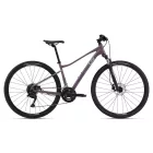 Liv Rove 3 Cross trekking kerékpár 2025 - Pulp Gray