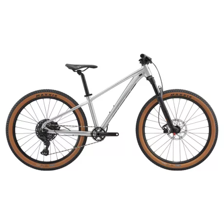 Giant STP 26" gyerek kerékpár - Quicksilver