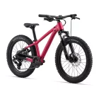 Liv STP 20 FS gyermek kerékpár