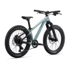 Liv STP 20 gyermek kerékpár