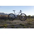 Giant XTC SLR 2 29" MTB kerékpár - Knight Shield