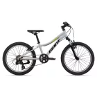Giant XtC Jr 20" gyerek kerékpár - Good Gray