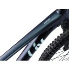 Liv Lurra 1 merevfarú hegyi