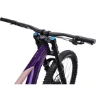 Giant Reign SX 29" MTB Fully kerékpár - Petra Clay