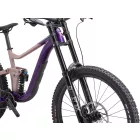 Giant Reign SX 29" MTB Fully kerékpár - Petra Clay