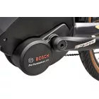Gepida Alboin Curve Tr XT 10 túratrekking e-bike