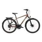 KROSS TRANS 5.0 28" Túratrekking kerékpár 2026 - BROWN/SILVER