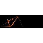 KTM SCARP LT 291 BURNT ORANGE BLACK MTB fully kerékpár