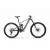 GHOST Path Riot CF Advanced F430 Grey/Grey MTB Fully e-bike
