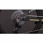 Cube Stereo Hybrid ONE77 HPC TM 800 reedgreen'n'matrix MTB fully e-bike