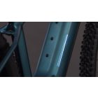 Cube Reaction Hybrid ONE 800 royalgreen'n'prism MTB e-bike