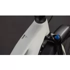 Cube Reaction Hybrid Pro 800 FE desertstone'n'driedherbs női MTB e-bike