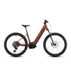 Cube Reaction Hybrid Race 800 amber'n'black Easy Entry MTB e-bike