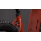 Cube Reaction Hybrid Race 800 amber'n'black Easy Entry MTB e-bike