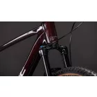 Cube Reaction C:62 Race liquidred'n'white MTB kerékpár