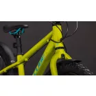 Cube Acid 200 Disc FE lizard'n'blue gyerek kerékprár