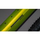 Cube Reaction Hybrid Race 800 lizard'n'black MTB e-bike