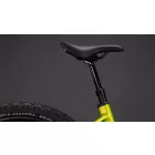 Cube Reaction Hybrid Race 800 lizard'n'black Easy Entry MTB e-bike