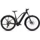 Cube Reaction Hybrid Pro 800 FE MTB 29" e-bike silverdust'n'prism