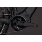Cube Reaction Hybrid Pro 800 FE MTB 29" e-bike silverdust'n'prism