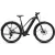 Cube Reaction Hybrid Pro 800 FE MTB 29" e-bike silverdust'n'prism