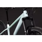 Cube Reaction TM ONE MTB 29" kerékpár kolibri'n'black