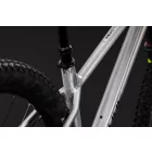 Cube Reaction TM Pro MTB 29" kerékpár raw'n'black