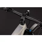 Cube Reaction Hybrid ONE 720 FE MTB 29" e-bike pearlsilver'n'chrome