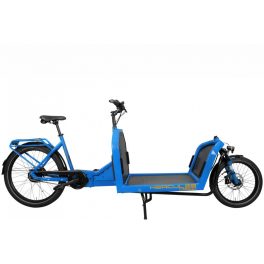 Cargo e-bike